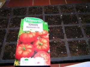 Graine tomate Vimorin