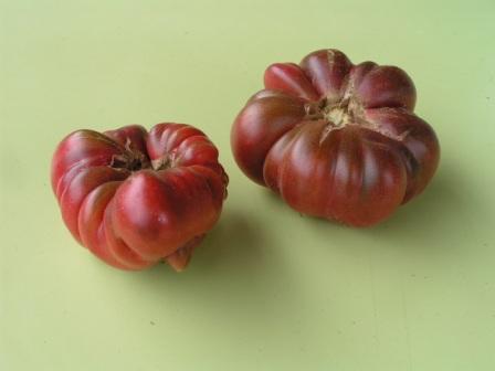 Tomate Purple Calabash