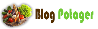 Blog Potager