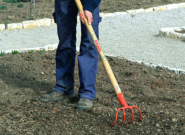 preparation-potager