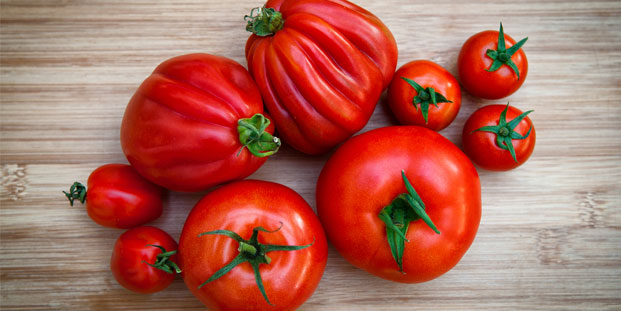 Tomates : 12 variétés incontournables ou insolites - Quitoque