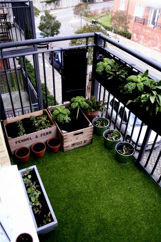 Comment créer un potager sur son balcon ? Blog Potager — free download